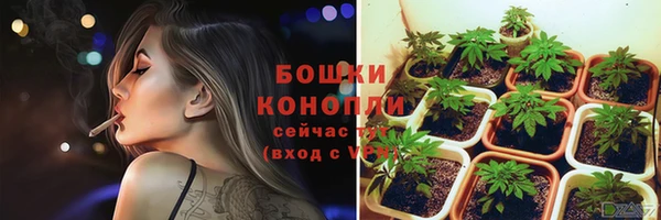 индика Надым