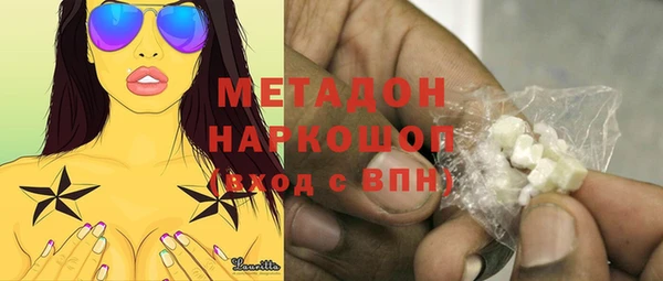 индика Надым