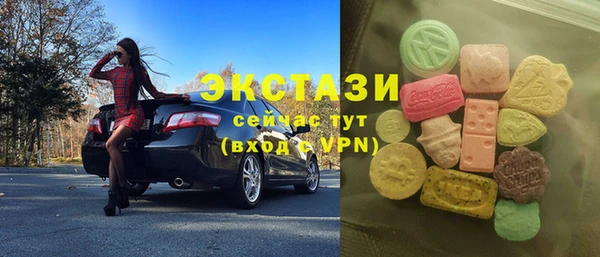 индика Надым
