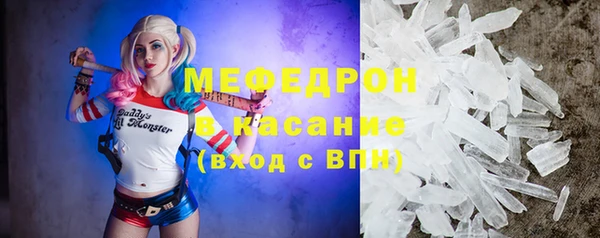 индика Надым
